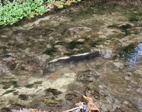 4627 Ganaraska Road, Durham, ON , MLS #E12419349 , Image - 1