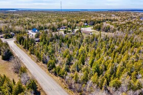Pt Farm Lt 4 Chi Sin Tib Dek Road, Bruce, ON , MLS #X12155855 , Image - 1