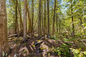 Pt Farm Lot 4 Chi Sin Tib Dek Road, Bruce, ON , MLS #X12155865 , Image - 1