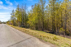 Part Fm Lot 4 Chi Sin Tib Dek Road, Bruce, ON , MLS #X12155856 , Image - 1