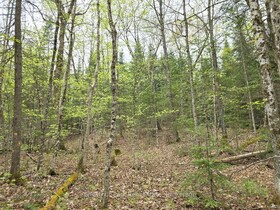 1397 Echo Ridge Road, Parry Sound, ON , MLS #X12156747 , Image - 1
