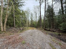 0 Bear Cave Road, Muskoka, ON , MLS #X12589582 , Image - 1