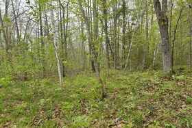 00 Milton Stewart Avenue, Renfrew, ON , MLS #X12563588 , Image - 1