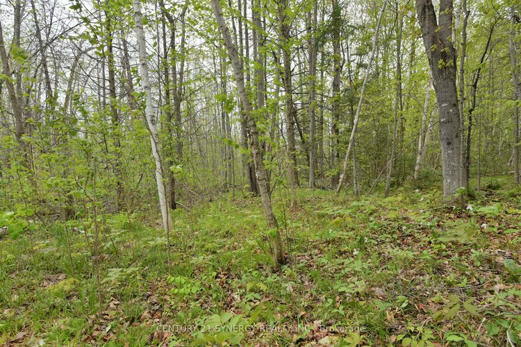 00 Milton Stewart Avenue, McNab/Braeside, ON, 551 - Mcnab/Braeside Twps