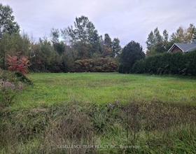 Lot#33 Crows Nest Road, Stormont, Dund, ON , MLS #X12692304 , Image - 1