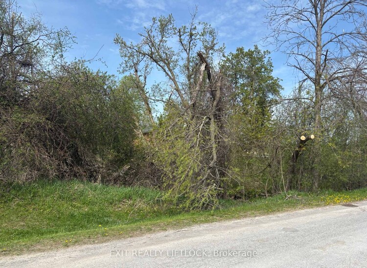 0 Maple Ridge Drive, Kawartha Lakes, ON, Emily