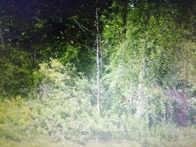 0000 Hay Road S, Stormont, Dund, ON