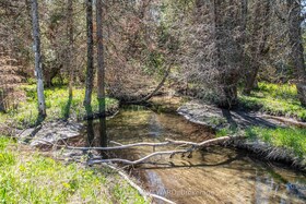 P/L35 Con 5 Bull Road, Northumberland, ON , MLS #X12164241 , Image - 1