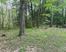 3460 Harburn Road, Haliburton, ON , MLS #X13122932 , Image - 1