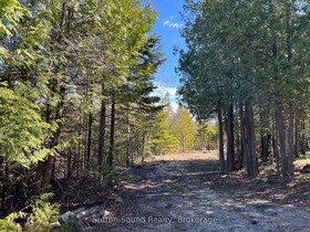 50 Harpur Drive N, Bruce, ON , MLS #X12166737 , Image - 1