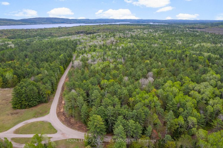 000 Nangor Trail, Whitewater Region, ON, 580 - Whitewater Region