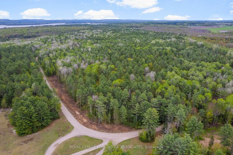 00 Nangor Trail, Whitewater Region, ON, 580 - Whitewater Region