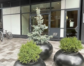 203 Catherine Street, Ottawa, ON , MLS #X12168135 , Image - 1