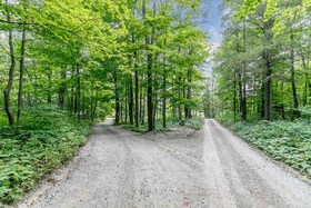 16365 Bathurst Street, York, ON , MLS #N12168326 , Image - 1