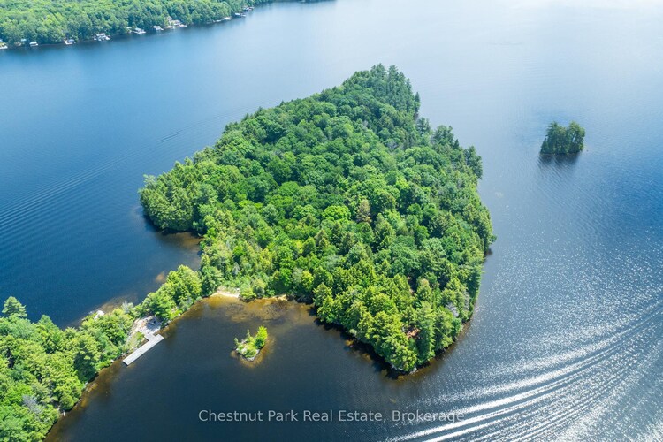 2 Meda Island, Muskoka Lakes, ON, Medora