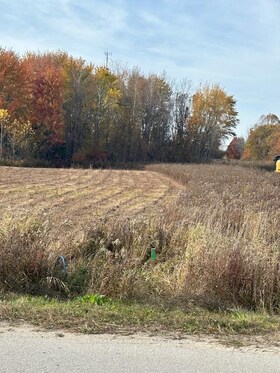 243 Arthur Street, Huron, ON , MLS #X12420829 , Image - 1