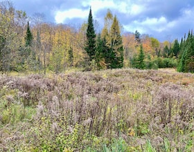 0 BROWN Lane, Parry Sound, ON , MLS #X12157399 , Image - 1