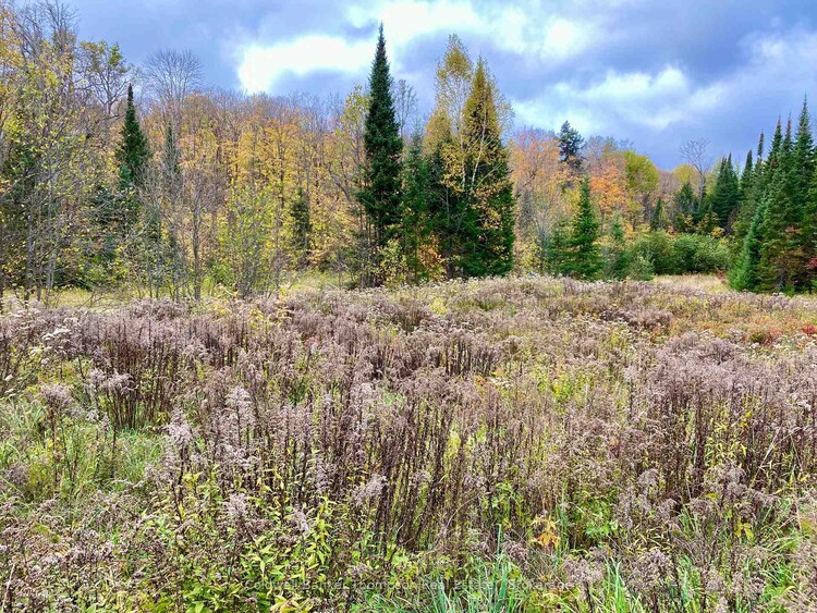 0 BROWN Lane, Parry Sound Remote Area, ON, McConkey