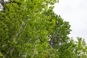 00 Drummond Conc. 5B Road, Lanark, ON , MLS #X12170881 , Image - 1