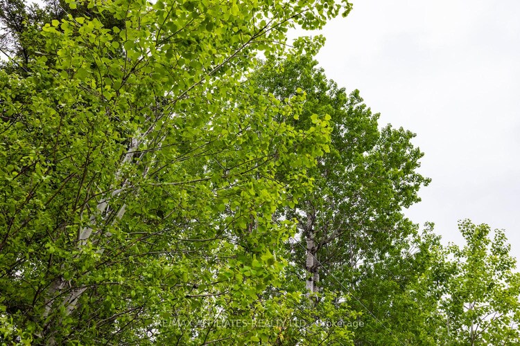 00 Drummond Conc. 5B Road, Drummond/North Elmsley, ON, 908 - Drummond N Elmsley (Drummond) Twp