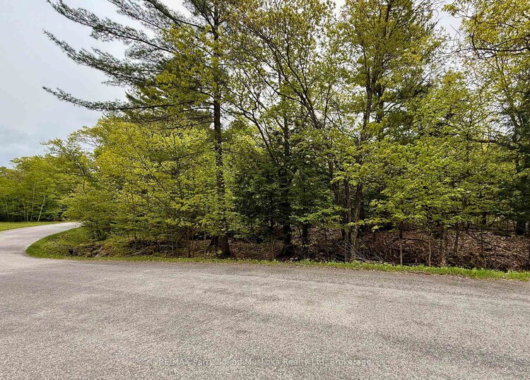 13 Harrison Landing Road, Carling, ON, Carling