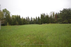 0 Murphy Road, Renfrew, ON , MLS #X12173680 , Image - 1