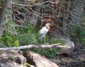 9 North Poverty Bay Road, Parry Sound, ON , MLS #X12606334 , Image - 1