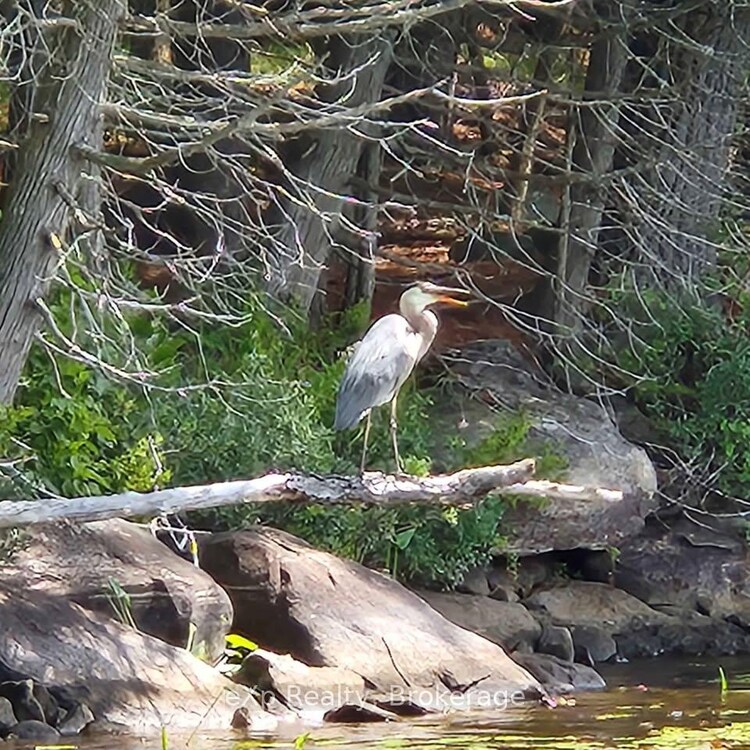 9 North Poverty Bay Road, Magnetawan, ON, Ahmic Harbour