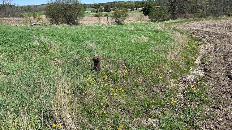 1380 MAPLE Road S, Loyalist, ON, 64 - Lennox and Addington - South