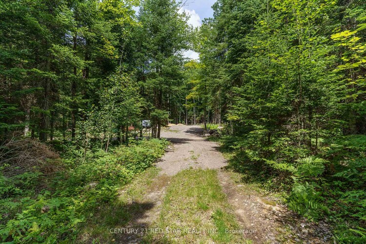 2978 Glamorgan Road, Highlands East, ON, Glamorgan