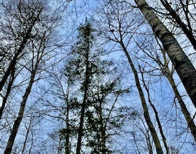 93 McCleary Road, Hastings, ON , MLS #X12464560 , Image - 1