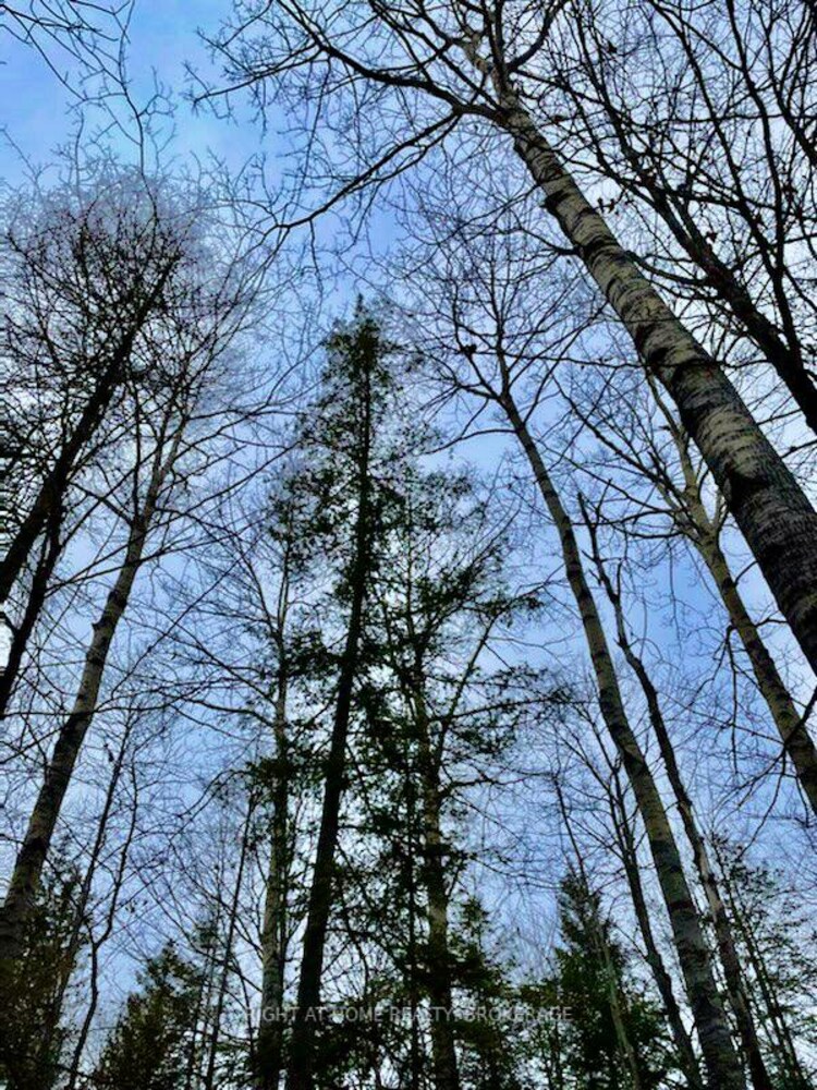 93 McCleary Road, Marmora and Lake, ON, Marmora Ward