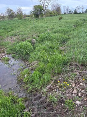 LT24 CON 4 SYDENHAM N/A, Grey County, ON , MLS #X12359701 , Image - 1