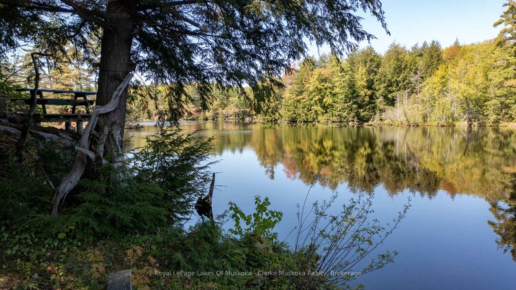 733 Whites Falls Road, Georgian Bay, ON, Baxter