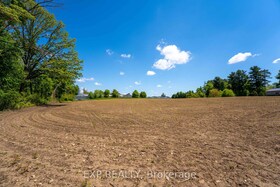 1 Seventh Concession Road, Brant, ON , MLS #X12183522 , Image - 1