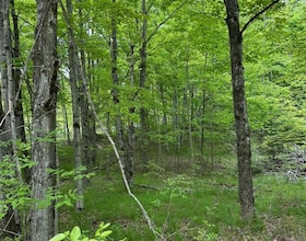 17146 Road 509 N/A, Frontenac, ON , MLS #X12391907 , Image - 1