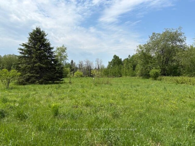 351 Ravenscliffe Road, Huntsville, ON, Chaffey