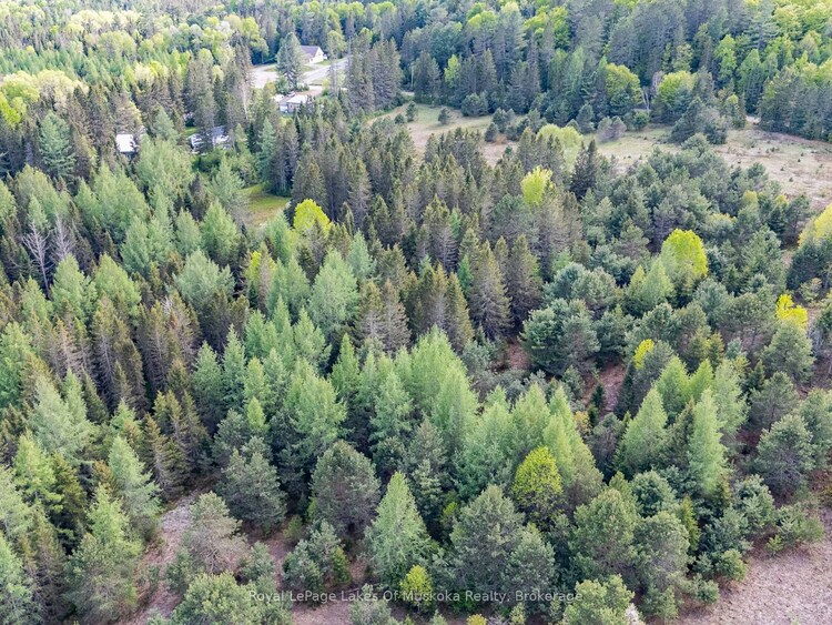 397 Relative Road, Armour, ON, Armour