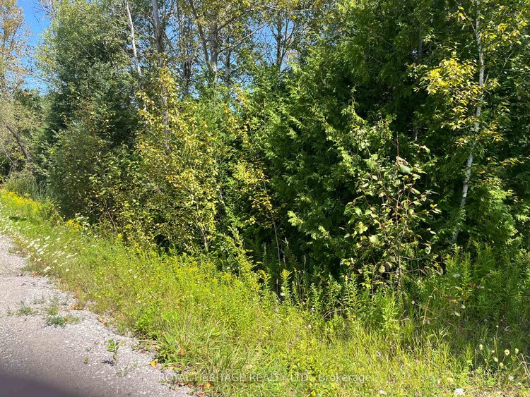 0 Sumcot Drive, Trent Lakes, ON, Trent Lakes