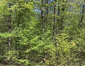 10 parker bay Road, Parry Sound, ON , MLS #X12187098 , Image - 1