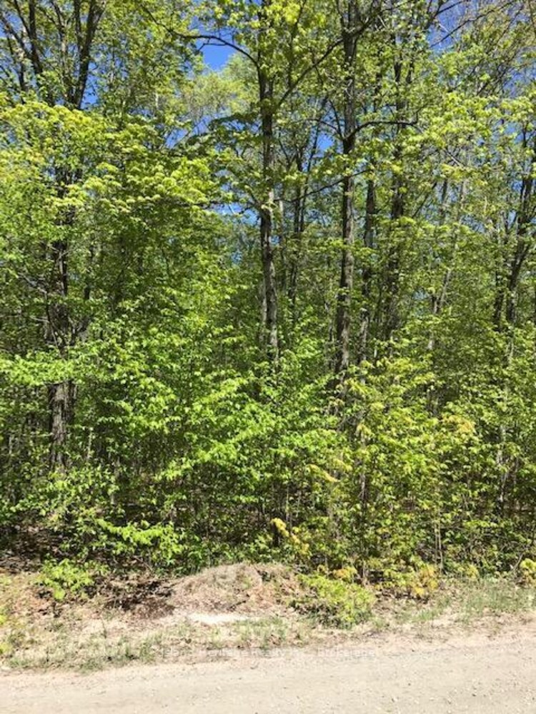 10 parker bay Road, Whitestone, ON, Whitestone