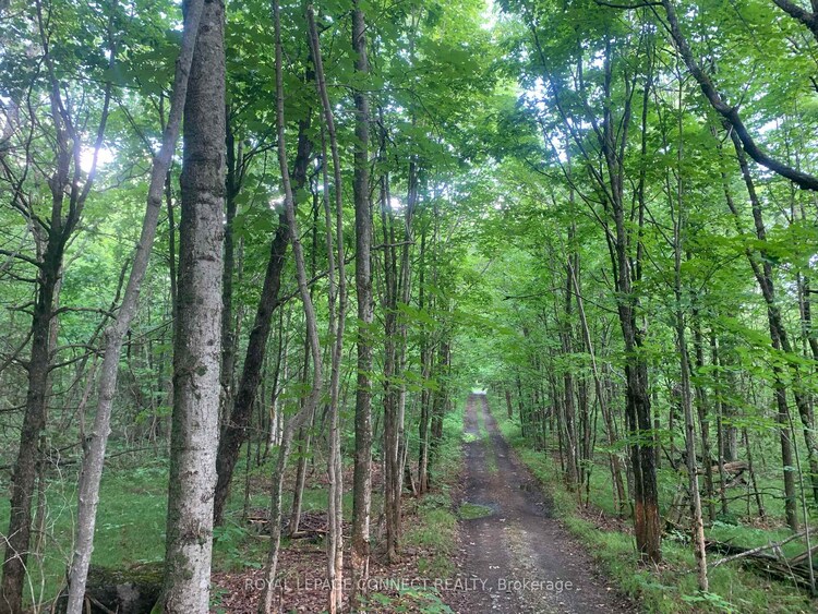 00 Clareview Road, Stone Mills, ON, 63 - Stone Mills