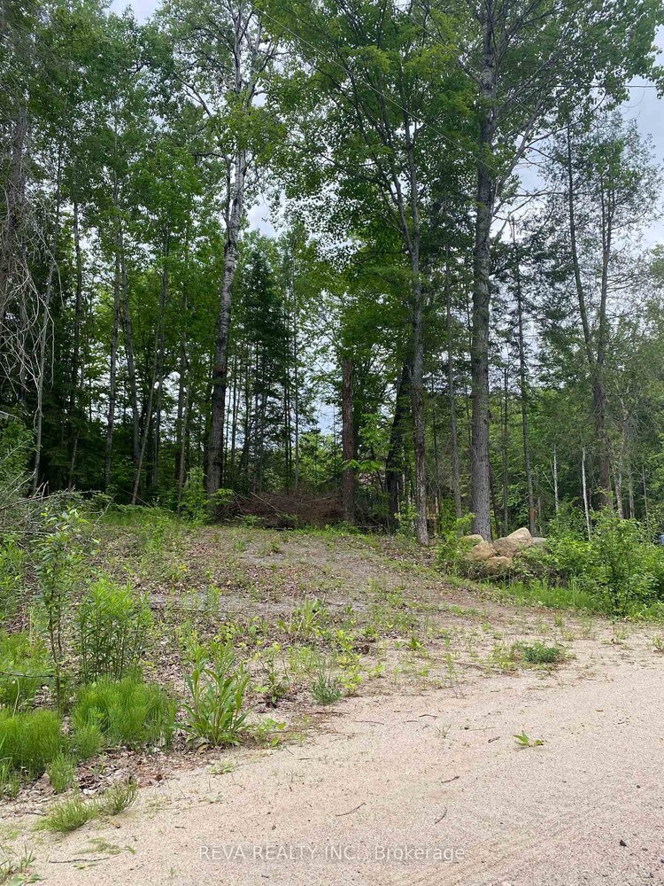 1755 South Baptiste Lake Road, Hastings Highlands, ON, Herschel Ward