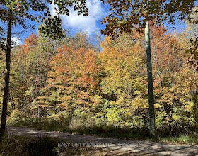 833 Hamilton Lake Road, Parry Sound, ON , MLS #X12416864 , Image - 1