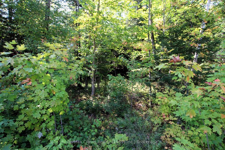 0 Lover's Lane, Parry Sound Remote Area, ON, East Mills