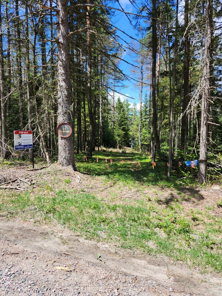 PT LOTS 24 & 25 CON 5 Concession, Ryerson, ON, Ryerson