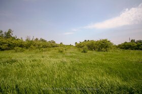 1297 Merkley Road, Stormont, Dund, ON , MLS #X12388293 , Image - 1