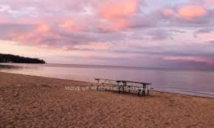 2404 County Rd 1 Road, Prince Edward County, ON, Hallowell Ward