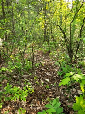 00 South Portage Road, Muskoka, ON