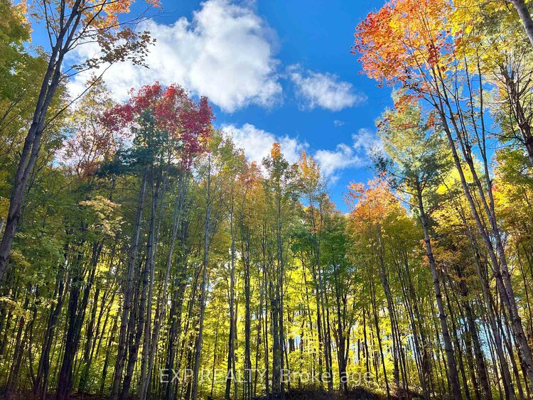 3191 Mountainview Road, Killaloe, Hagarty and Richards, ON, 571 - Killaloe/Round Lake